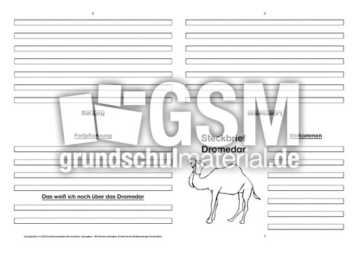 Dromedar-Faltbuch-vierseitig-2.pdf